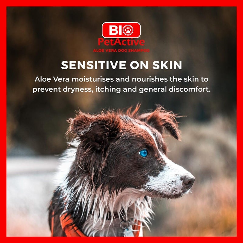 Bio PetActive شامبو بيولوجي للحيوانات الأليفة للكلاب مع مستخلص الألوة فيرا - عناية تنظيف وترطيب للبشرة الحساسة والعادية، خالي من البارابين، متوازن الحموضة + مكونات طبيعية - 13.53 أونصة سائلة - Image 5